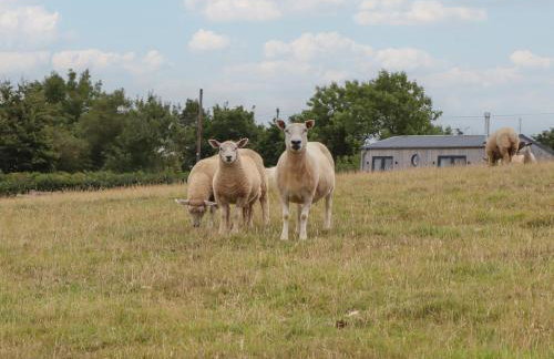 The Pennymoor - Foto 34