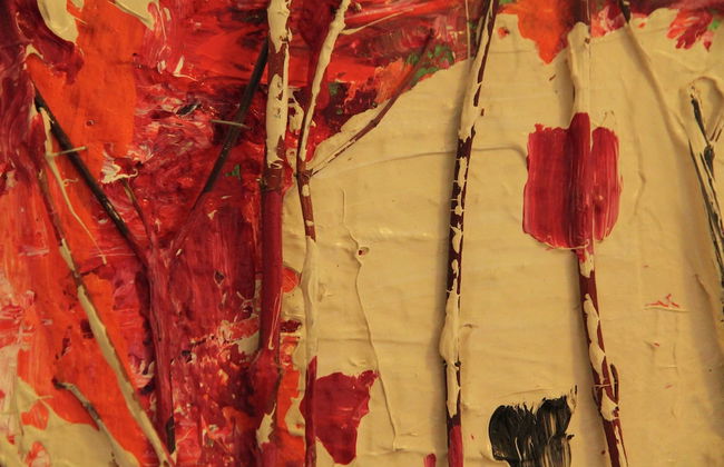 Cozy Apartment in Bergen on Dutch Coast - Foto 44