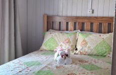 Quintal das Araucárias hospedagem - Foto 6