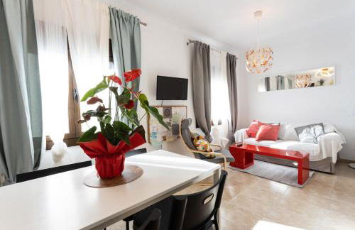 Circ Romà - Foto 47