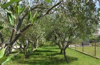 Apartment With a Pool, Mountainview, Near the Sea! - Photo 38