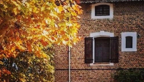 Studios MISTRAL21 en Camargue - Foto 5