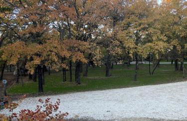 Hidden Treasure Harvest House Forest Getaway 30 Min. West of Fort Worth - Photo 15