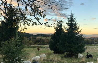 Apartament w Stroniu - Foto 29