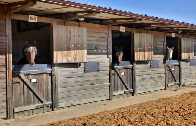 Casa Rural Ecuestre - Foto 38