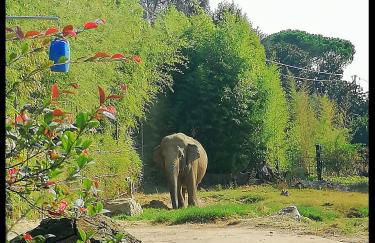 Appartamento Il Bosco Incantato - Foto 42