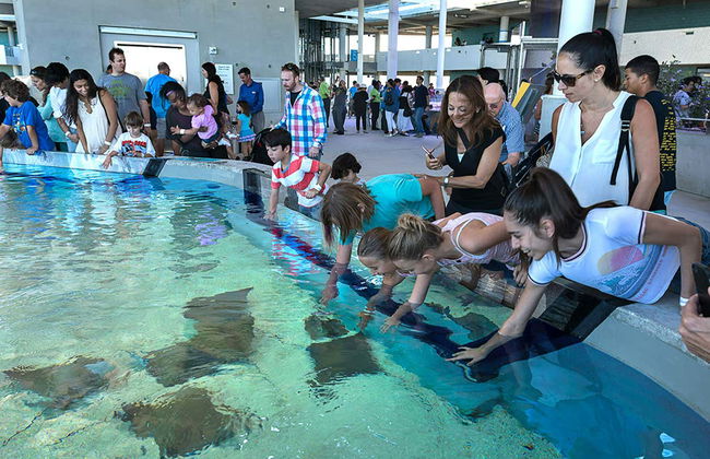 Entrada al Museo de la Ciencia de Miami - Foto 5