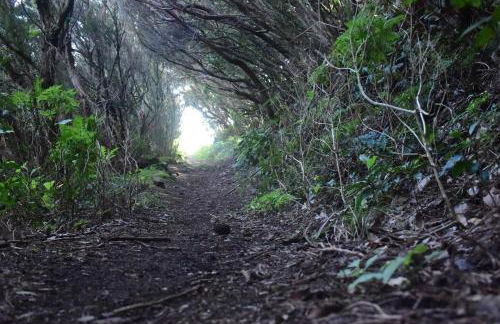 Casa Max Tenerife - Foto 50