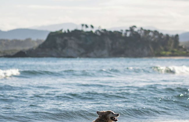 Barlings Beach Holiday Park - Foto 69