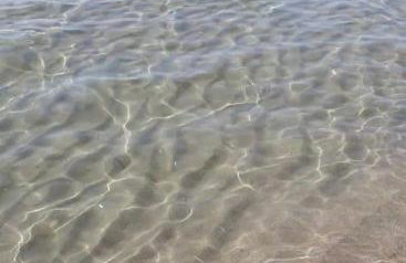 Villa Leone - Photo 51