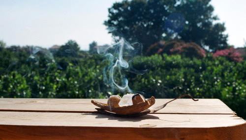 Irene's Treehouse - Photo 2