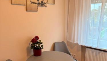 Modernes Apartment 1 mit eigener Küche & Bad - Schuster Homes - - Foto 3