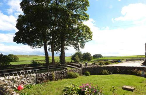 Corner Croft - Photo 10