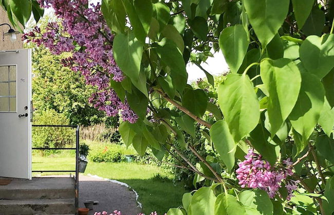 4 Star Holiday Home in Hoganas - Foto 38