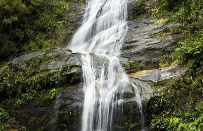 Parco Nazionale della Tijuca, Santa Teresa e Cristo Redentore - Foto 6