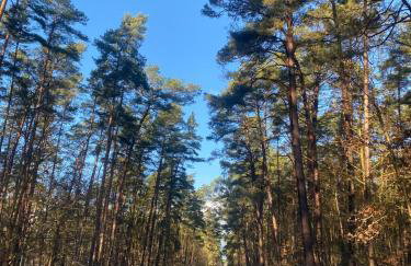 Lasy Jeziora, Cisza i Spokój, Grzybki i Rybki, Dom 180m2 w Swornegacie nad jeziorem Karsińskim - Foto 44