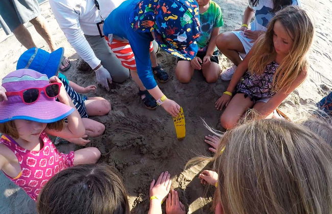 Ixtapa Zihuatanejo Sea Turtle Release - Photo 3