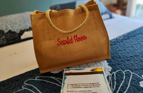 Scarlet Flower - Lago Maggiore - Foto 28