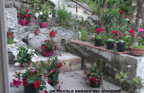 Le Mimose - Photo 39