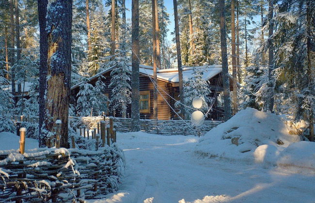 Shishki na Lampushke - Russkaya Derevnya - Foto 1