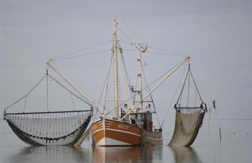 Wohnung Peper - Foto 29