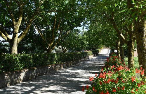 LAGO DI BOLSENA Agriturismo Le Ginestre - Foto 38
