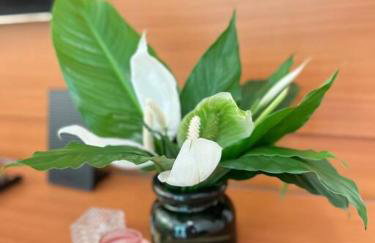 Esse apto eh tão lindo e espaçoso, perto de tudo! - Foto 52