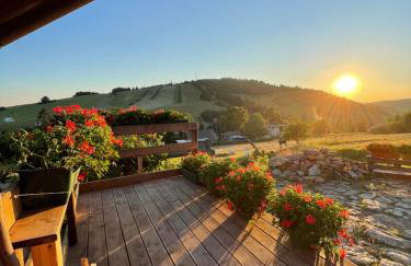 Mr. Sowa Sokolec - Foto 46