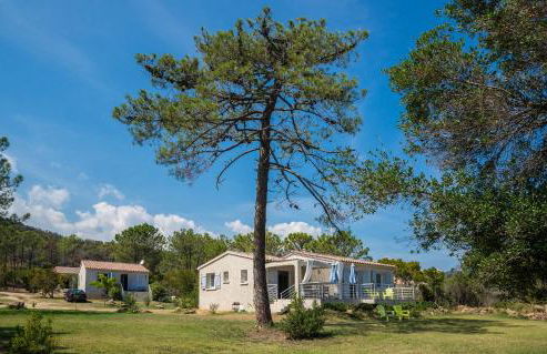 Domaine de Pianiccia - Foto 22