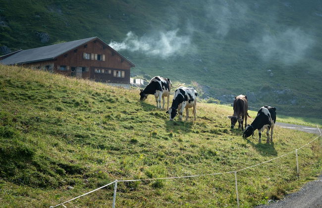 Am Gehren - Arlberg Appartements - Foto 46