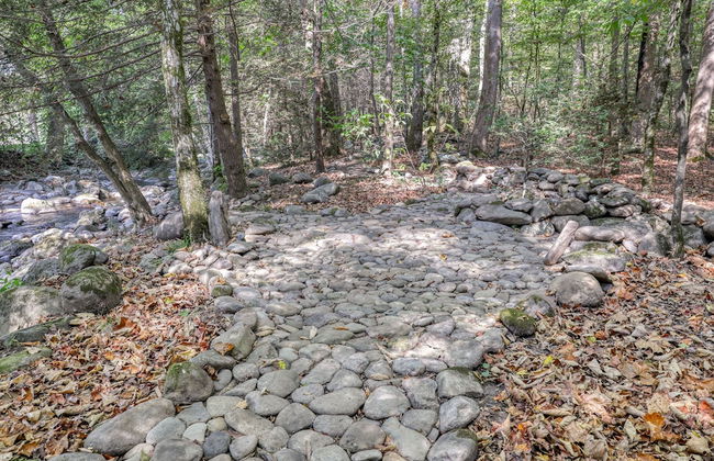 Elk Run On Cosby Creek - 2 Bedrooms, 2 Baths, Sleeps 7 Cabin by RedAwning - Foto 36