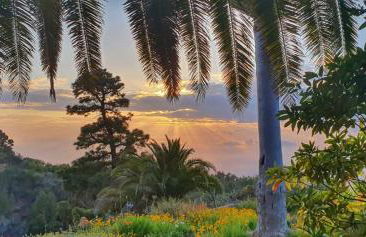 Casa Palmera - Photo 45