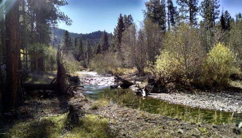 Countryside Cabin Rental for Three in Mountains of Darby, Montana - Foto 4