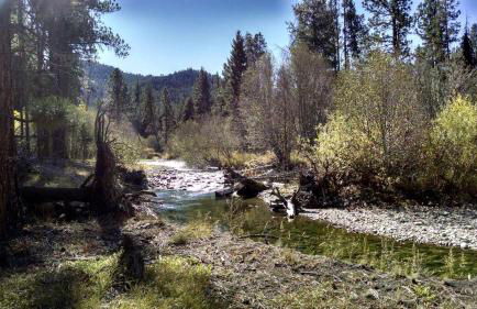 Countryside Cabin Rental for Three in Mountains of Darby, Montana - Foto 4