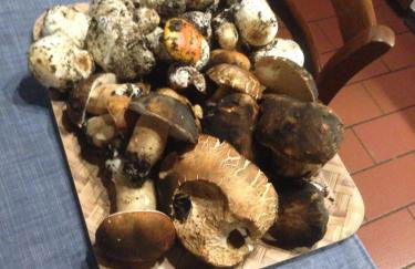 Giardino di Potentino - Foto 28