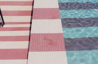 NIU Line - Be Line Group - Photo 66