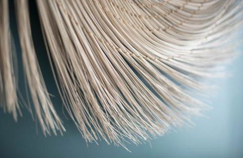 Jungle Juice - Foto 5