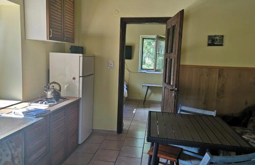 Agroturystyka Wilczyn Cegielnia - Foto 36