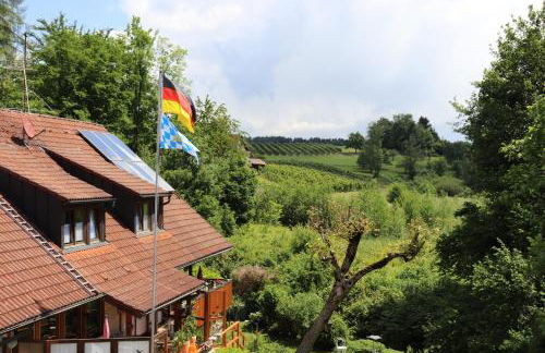 Wohnung #5 mit Balkon - zentrale dennoch ruhige Lage mit Terrasse - Stadtbus vor der Tür! - Foto 7