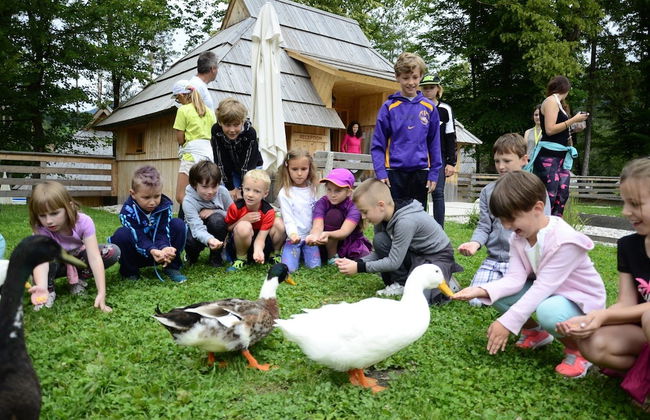 Slovenia Eco Resort - Foto 18