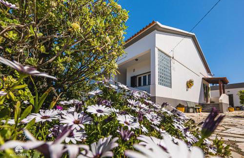 Casa à Beira Mar - Countryhouse with Ocean view - Foto 32