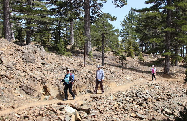 Tzionis Petroktisto Holiday Stonehouse - Photo 27