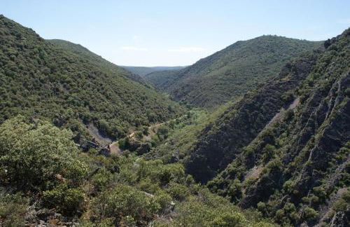 Lincetur Cabañeros - Centro de Turismo Rural - Foto 22