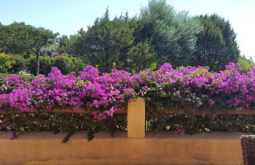 Sunny House a Punta Molara - Foto 26