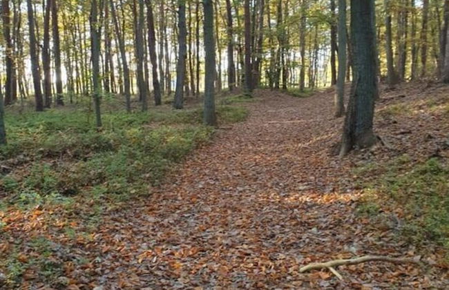 Seeschwalbe Modern Retreat - Foto 26