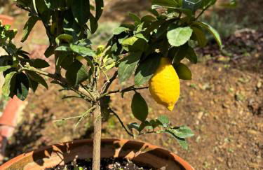 Tuscan Hideaway - Foto 28