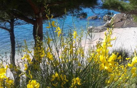 Villa Silvana Brown - Photo 27