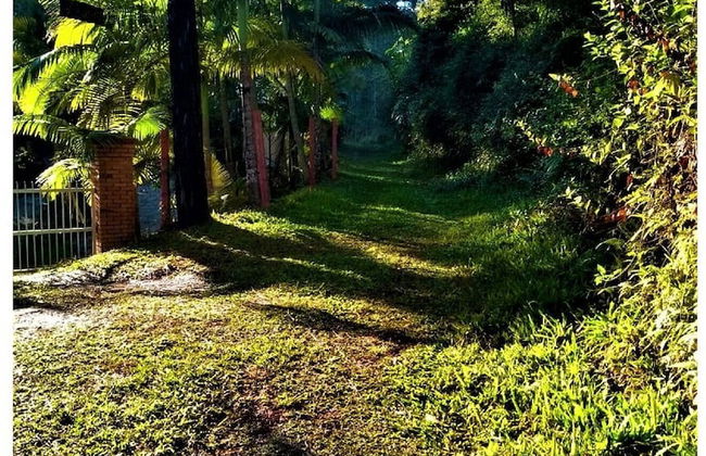 Sitio Libardo - Nova Trento - SC - Foto 58