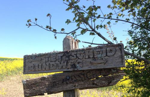 Fewo Vulkaneifel - Foto 21