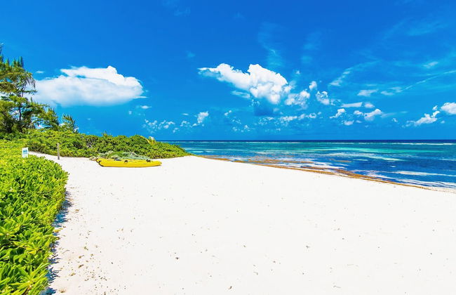 Blue Water Villa - Photo 38